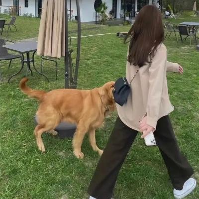 老婆万岁